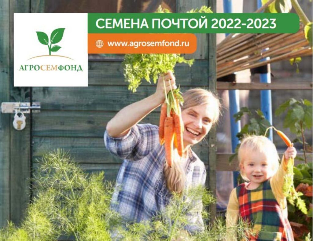 Главная страница