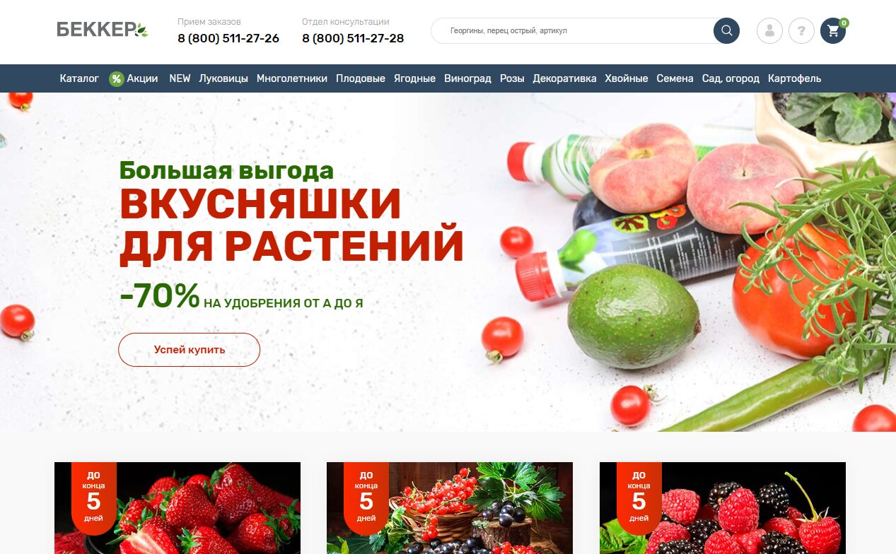 Главная страница
